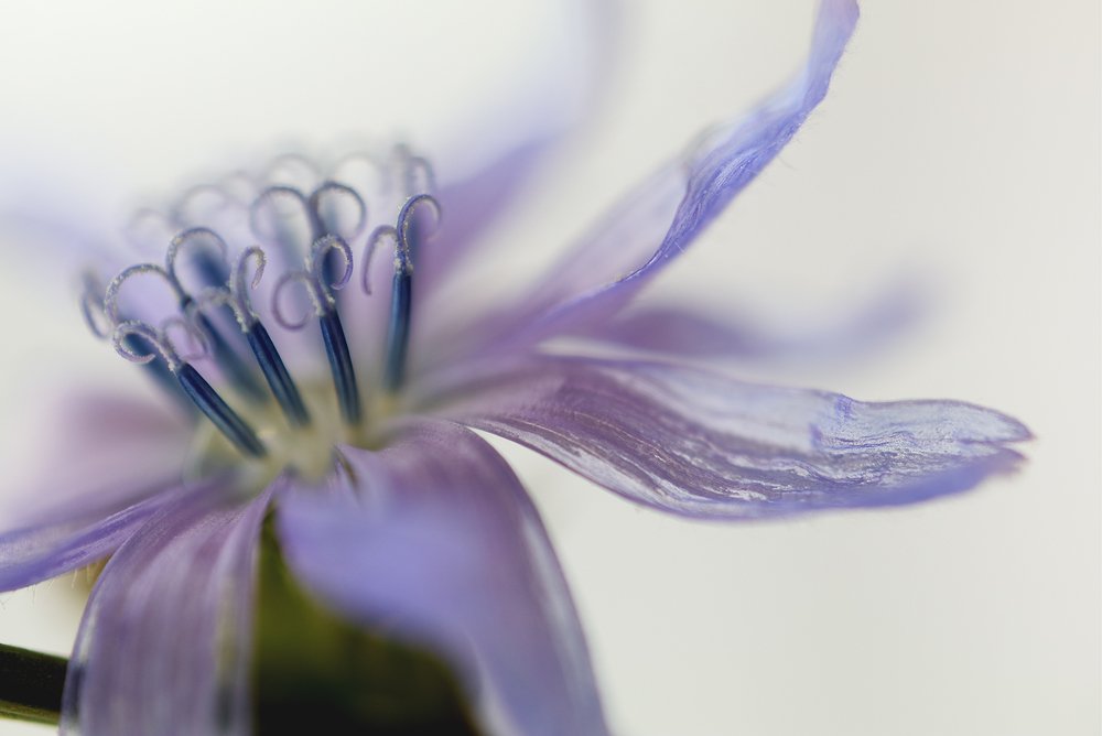 Photograph by FEDERICO VELA OLIVA