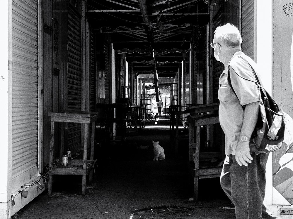 Photograph by Rafael Worrell