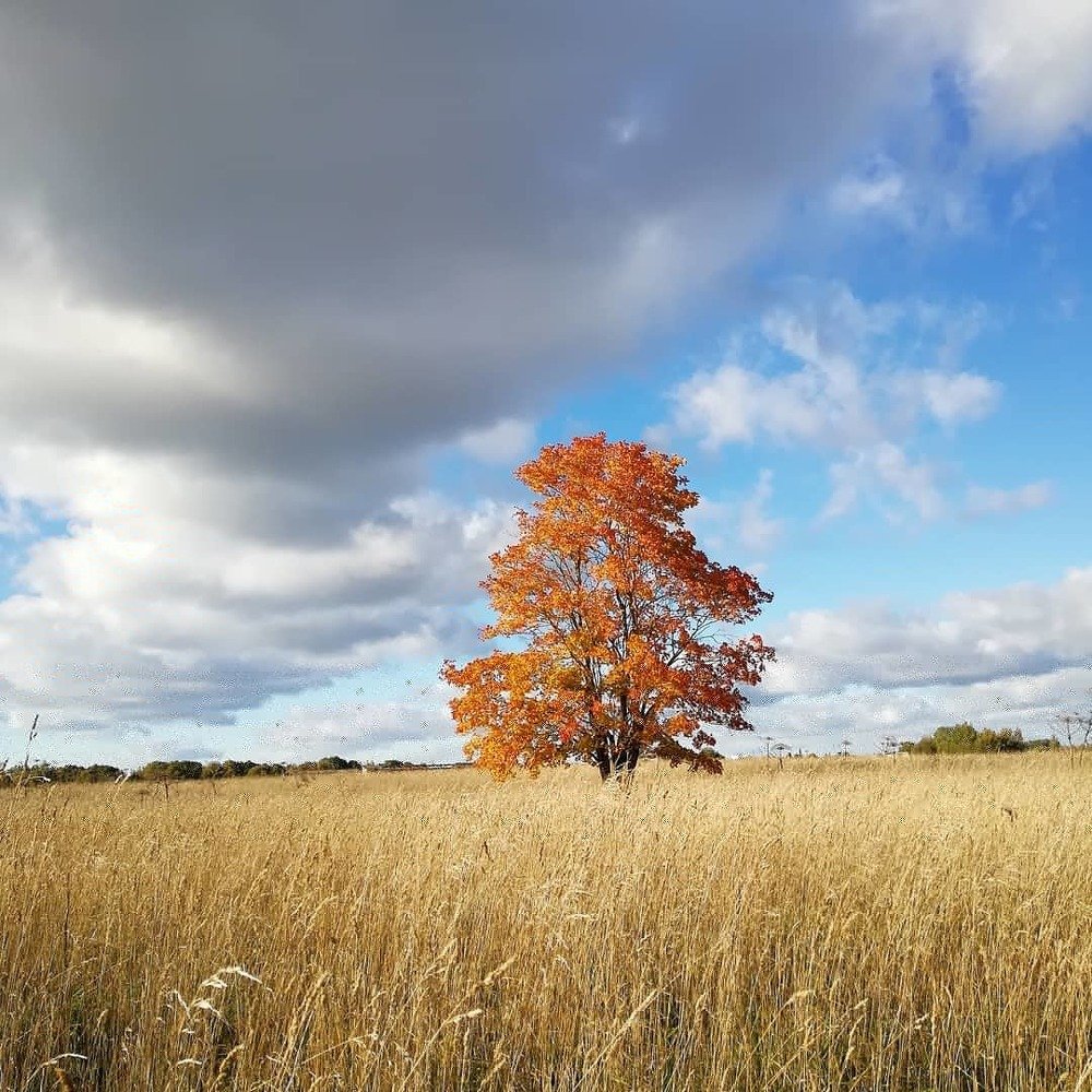 Photograph by Михаил Кузьмиченко