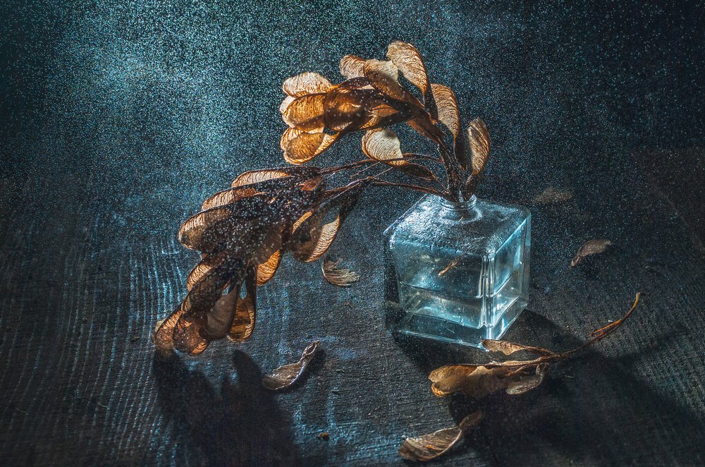 Лунный свет.