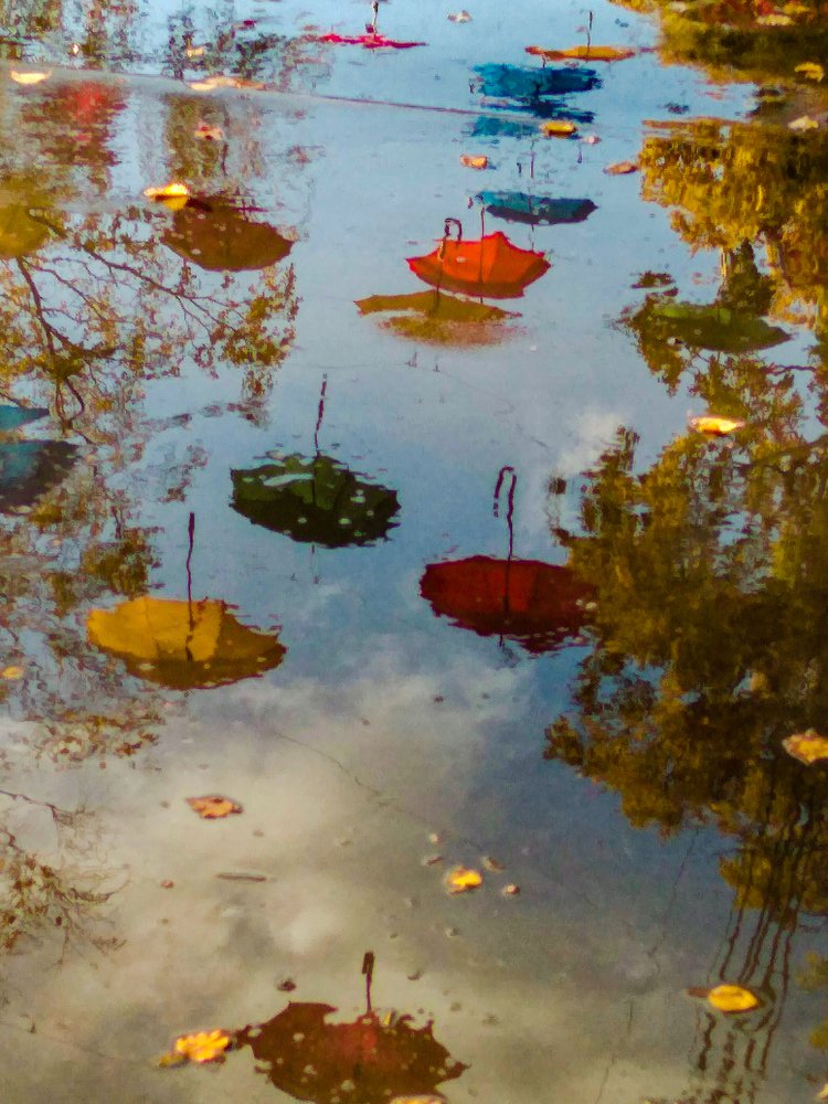 Осенние перевертыши