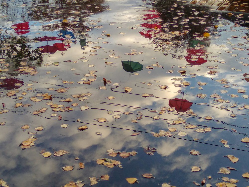 Фотография автора Olena Vorotyntseva