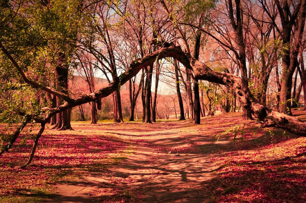 Photograph by Karina Elena Bergagna