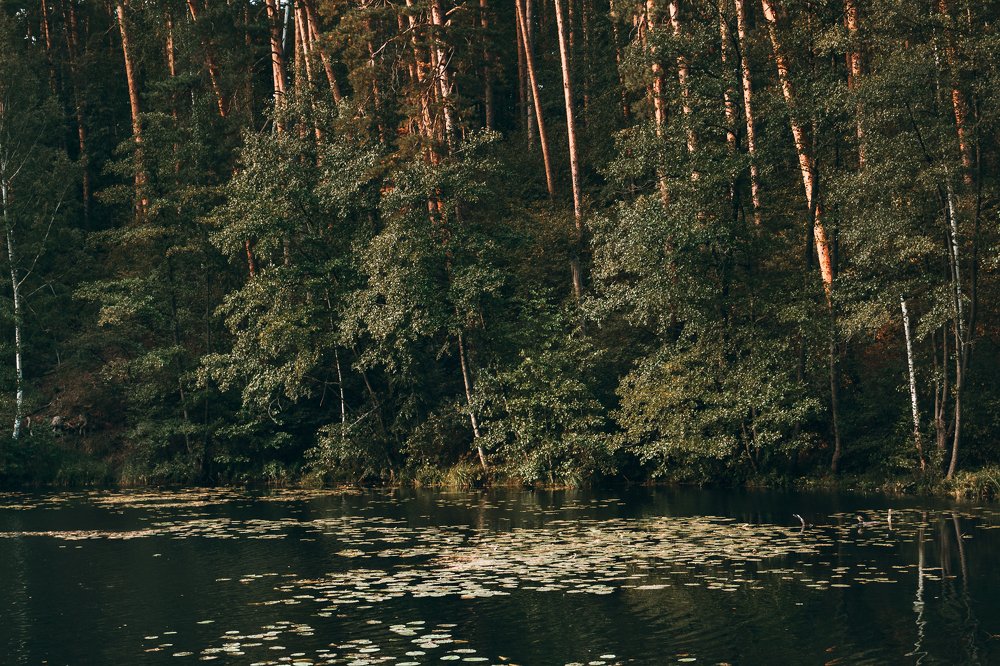 Photograph by Елена Юрина