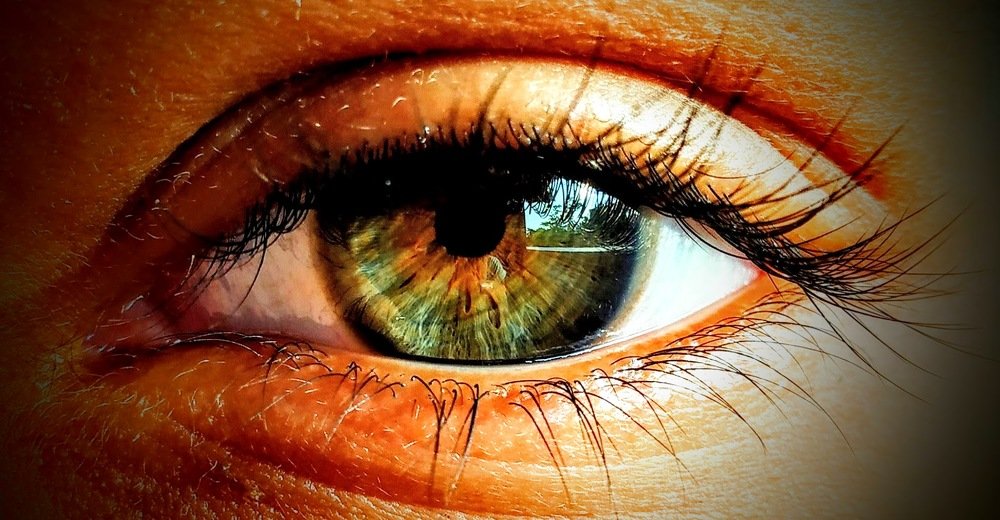 Photograph by Priyanka Sharma