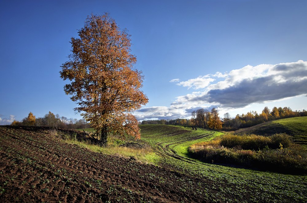 Photograph by Juris Buklovskis