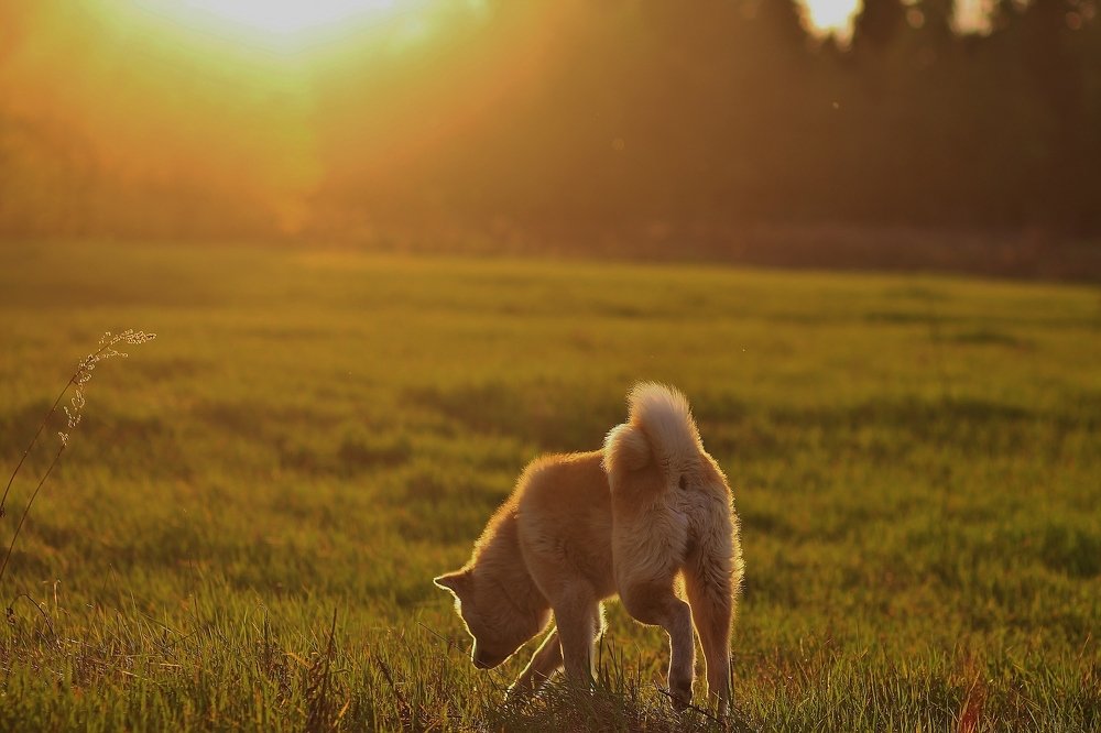 Photograph by Elena Makarova