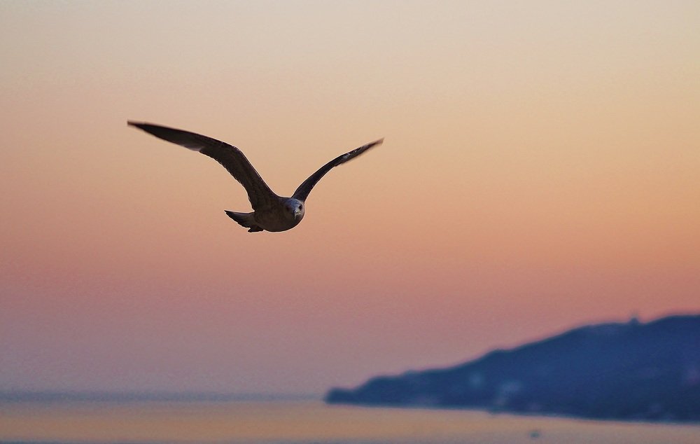 Photograph by Elena Makarova