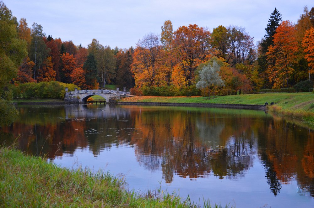 Photograph by Светлана Муравьева