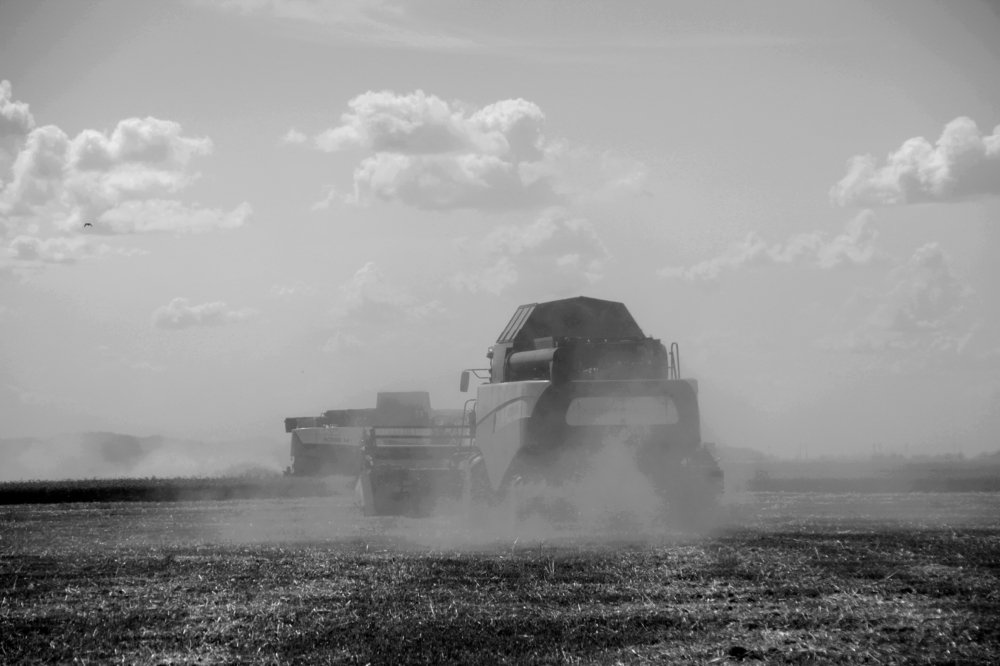 Photograph by Борис Каширин