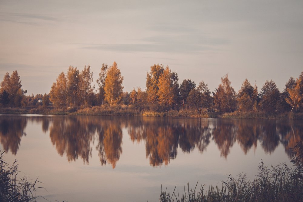Photograph by Анастасия Голубева