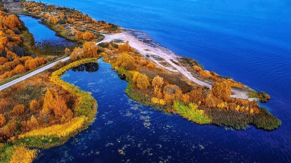 Золотая осень.