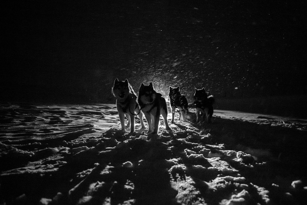 Фотография автора Надежда Лебедева