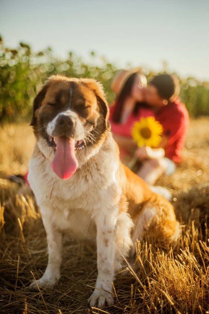 Photograph by Катя Бушная