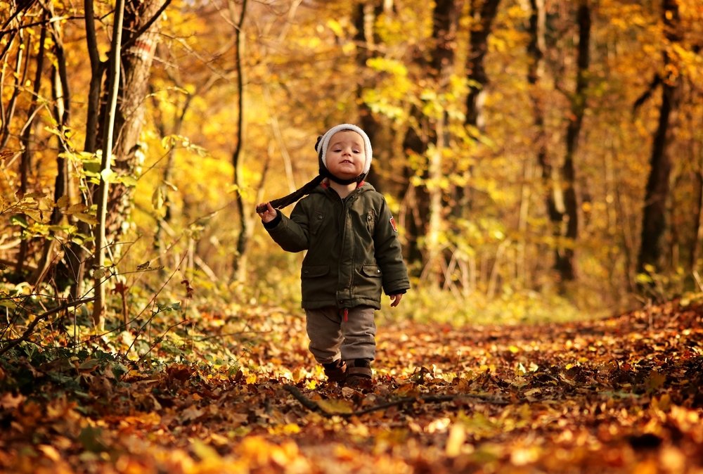 Photograph by Domsitz Judit