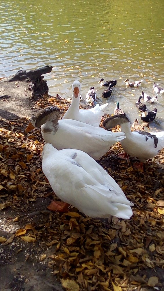 Photograph by Армине Унанян