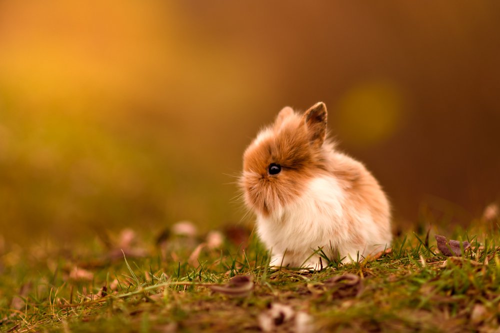 Photograph by Анастасия Алексеева