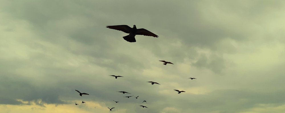 Photograph by Армине Унанян