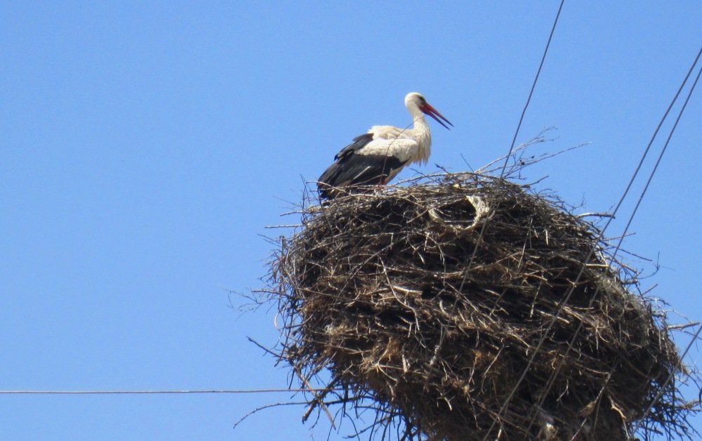Photograph by Армине Унанян