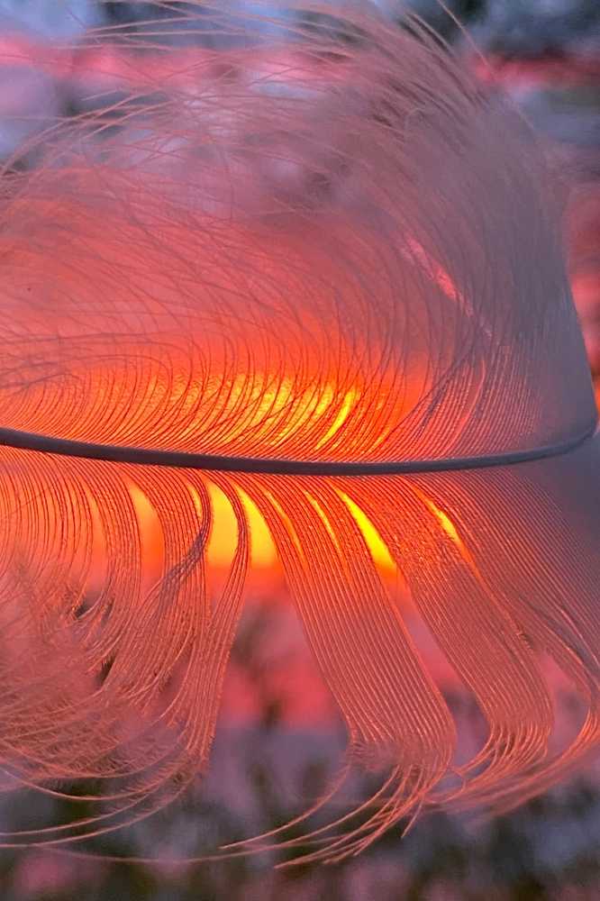 Photograph by Анатолий Андреев