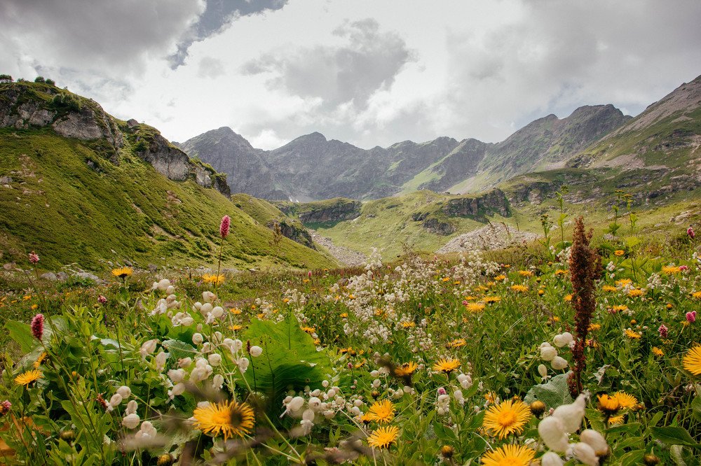 Photograph by Алина Виноградова