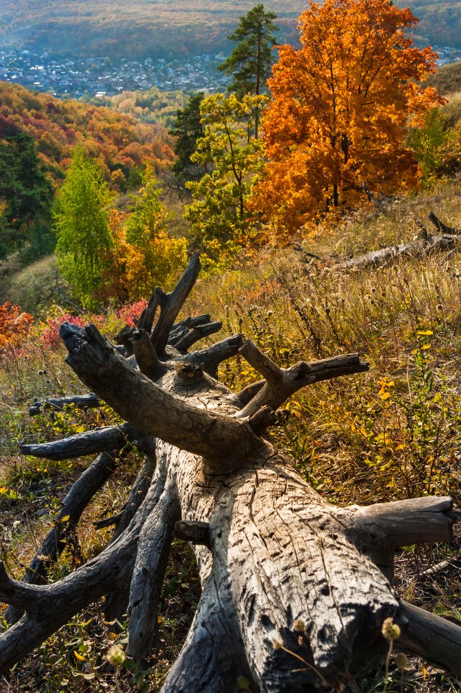 Photograph by Наталья Панина