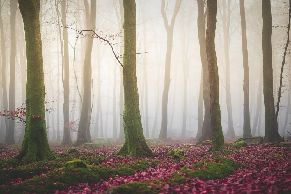 Photograph by Jakub Pasierkiewicz