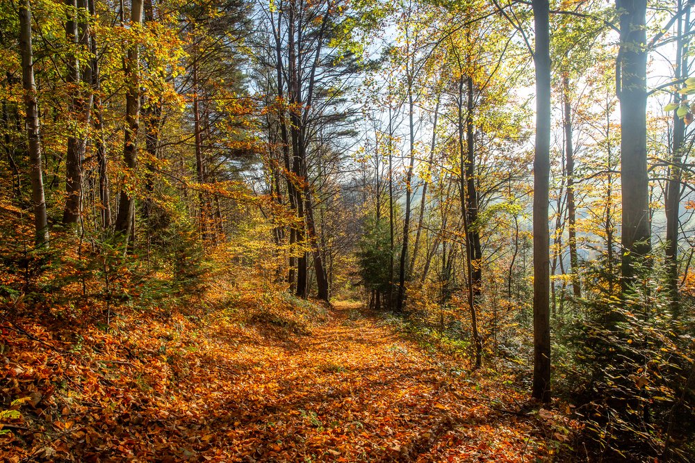 Photograph by Marcin Mirek