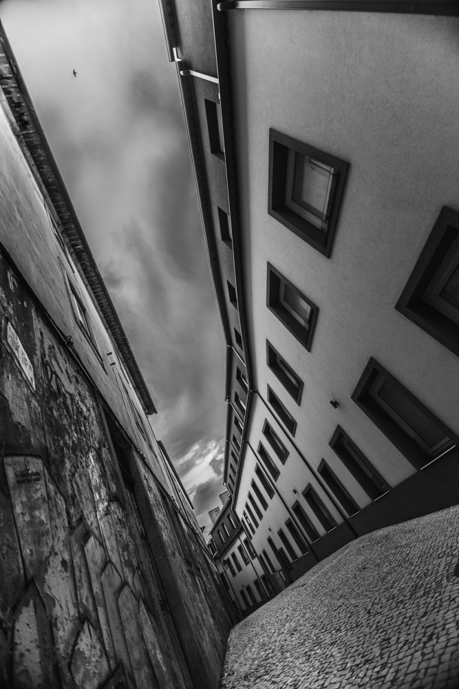 Photograph by Ana Marta Loura