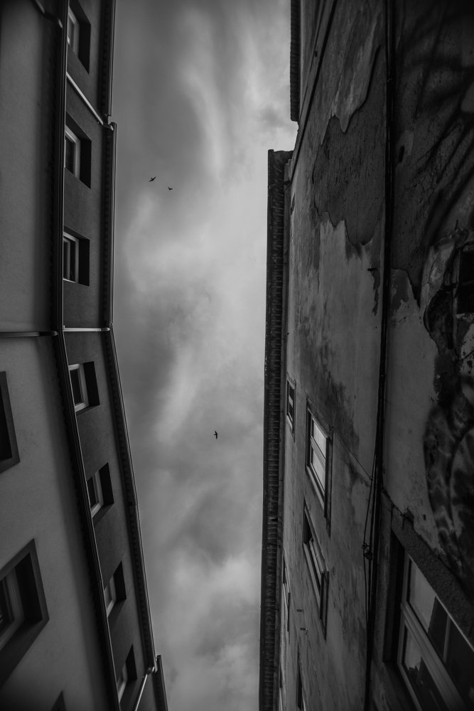 Photograph by Ana Marta Loura