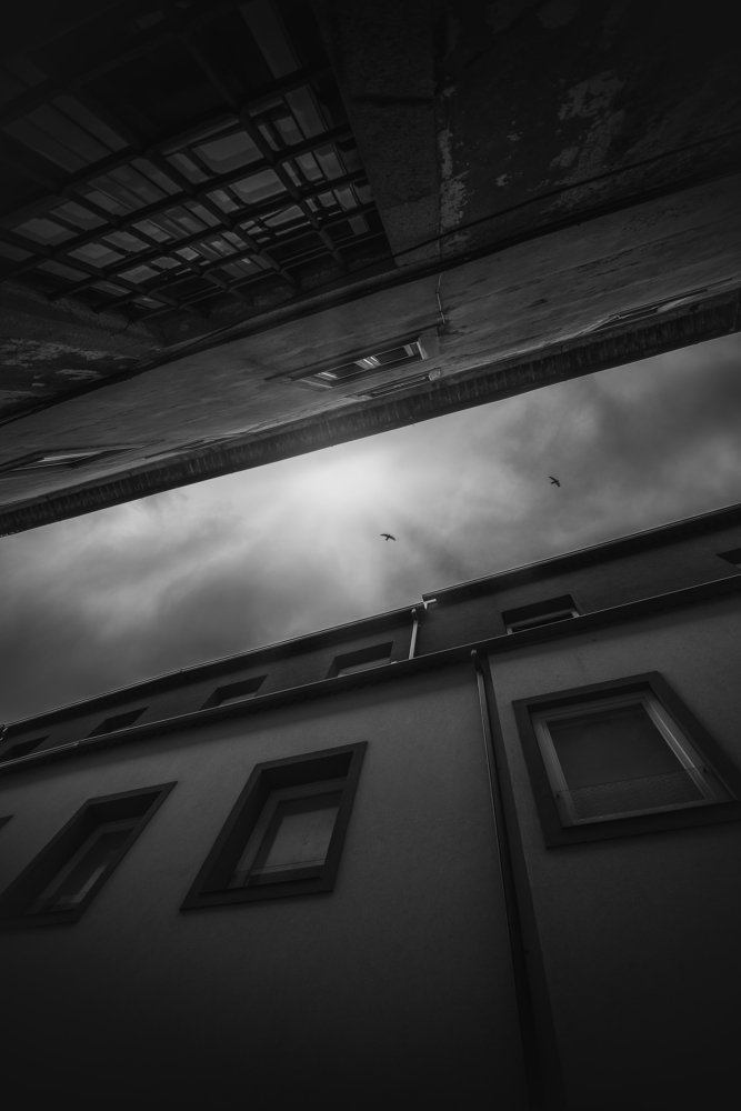 Photograph by Ana Marta Loura