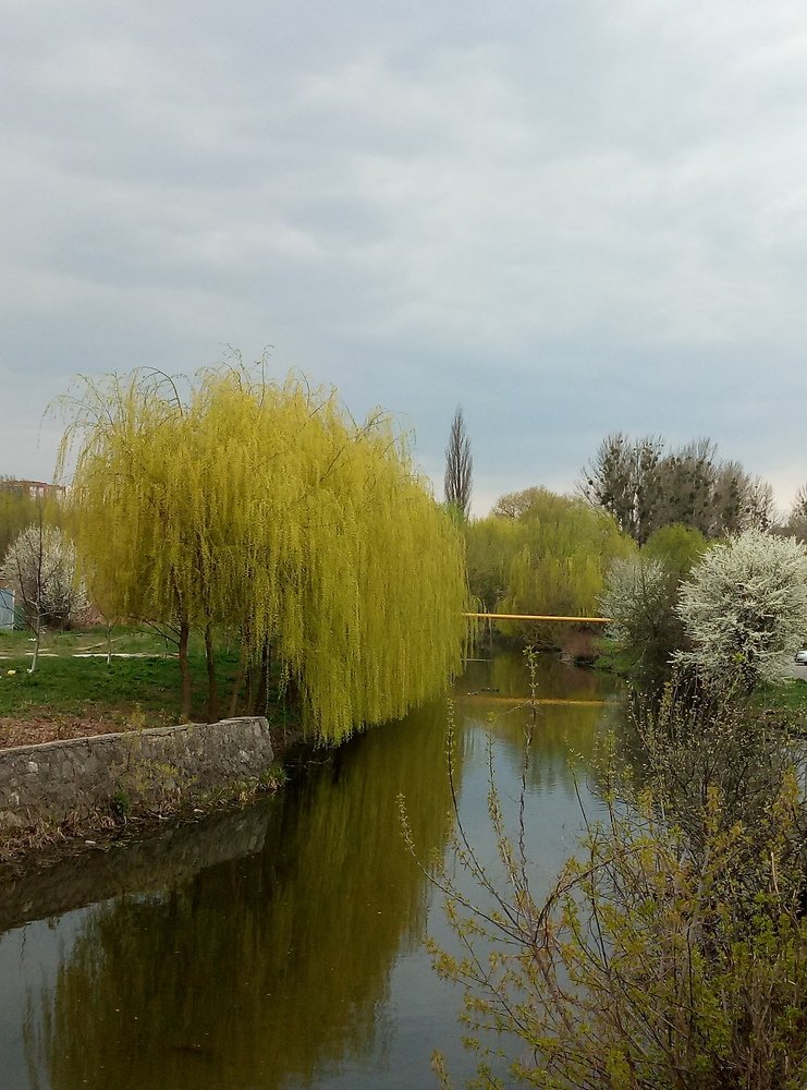 Photo #5063209