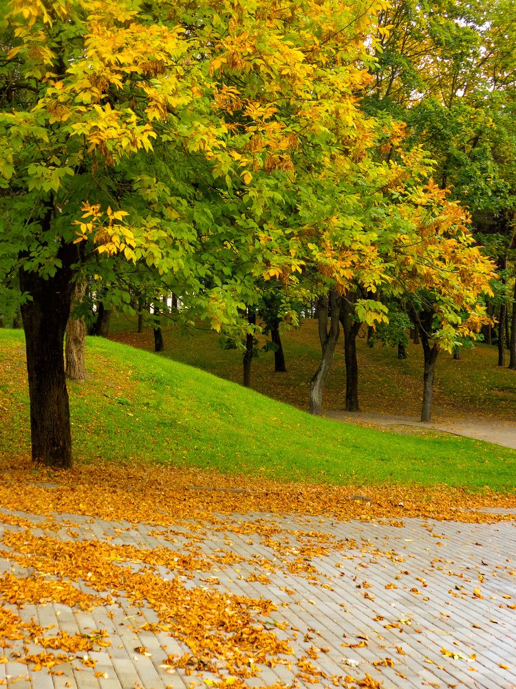 Осенние краски.