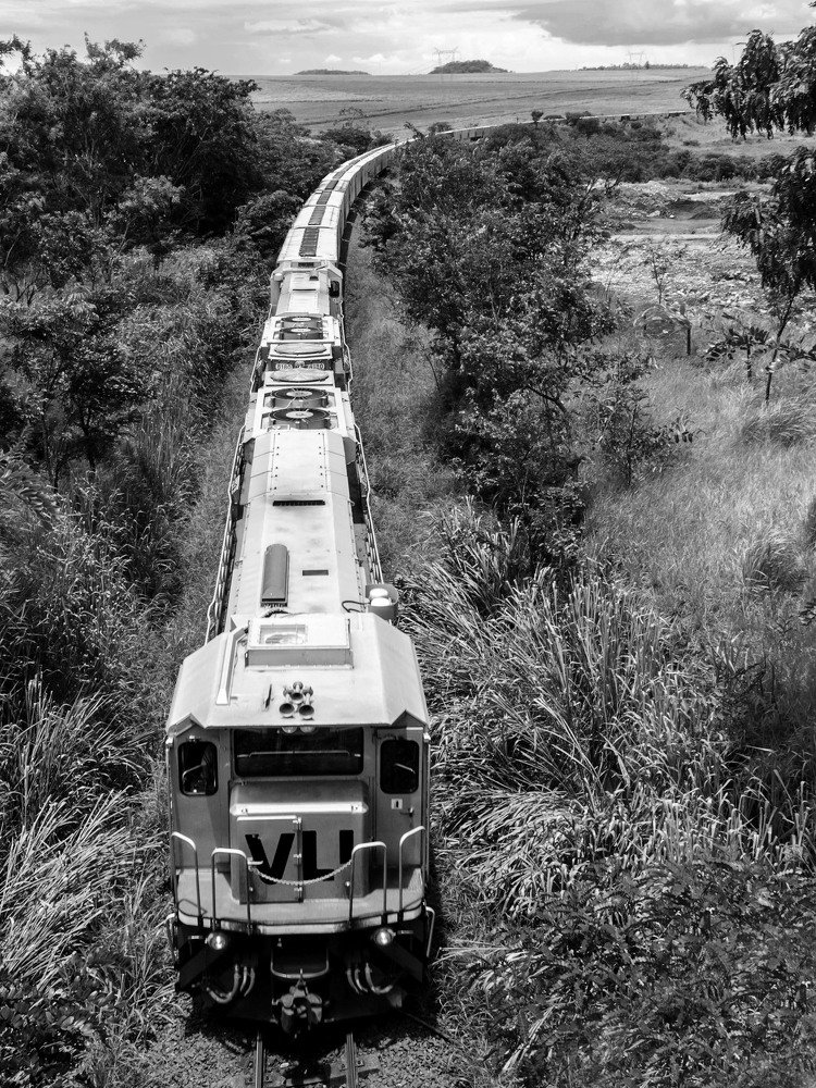 Photograph by CARLOS ALBERTO MOURA HENRIQUE