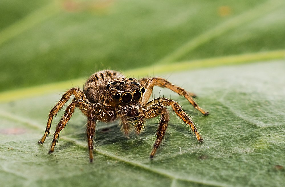 Photograph by Lê Trung Phùng