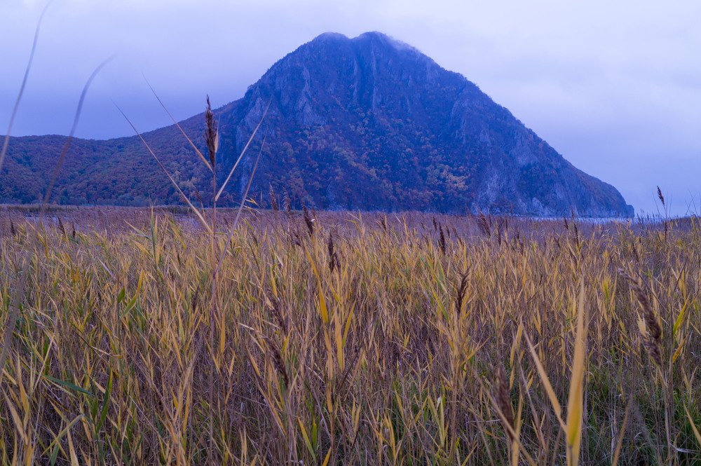 Photograph by Леонид Сидоров