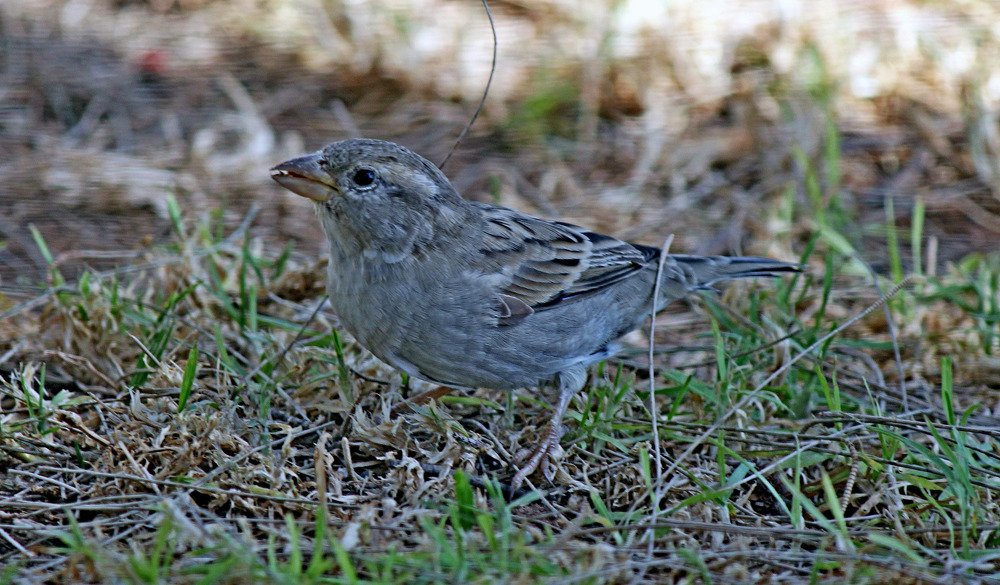 Photograph by Александр Бугаенко