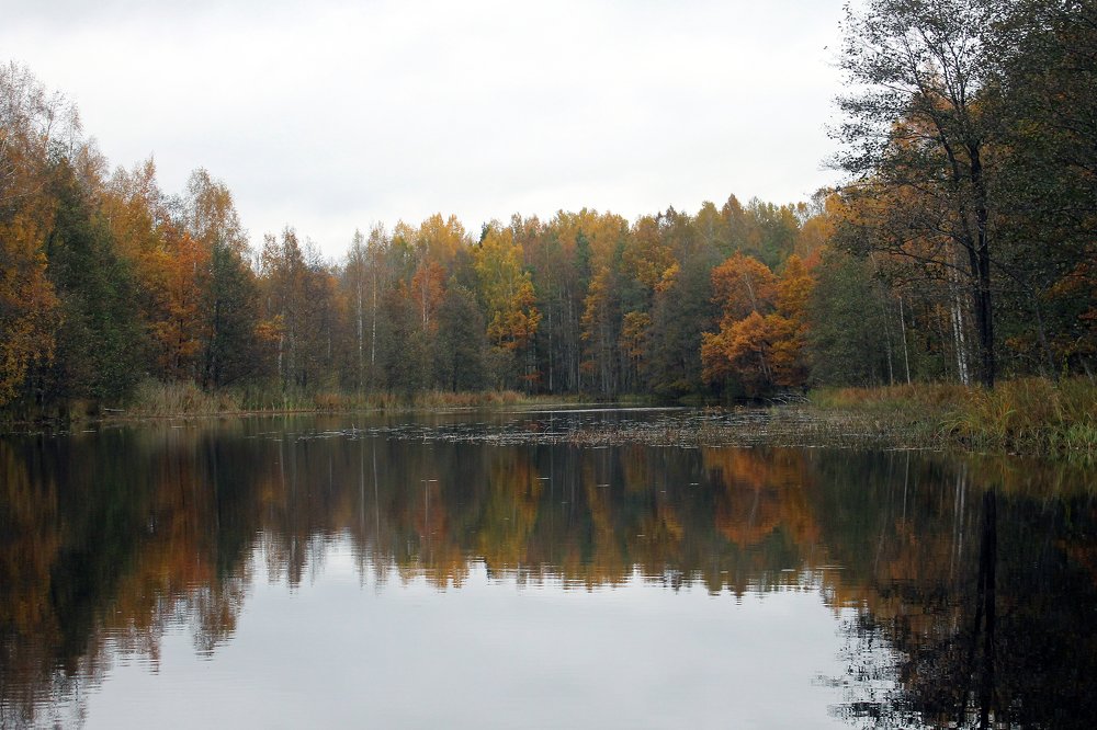 Photograph by Филиппов Олег