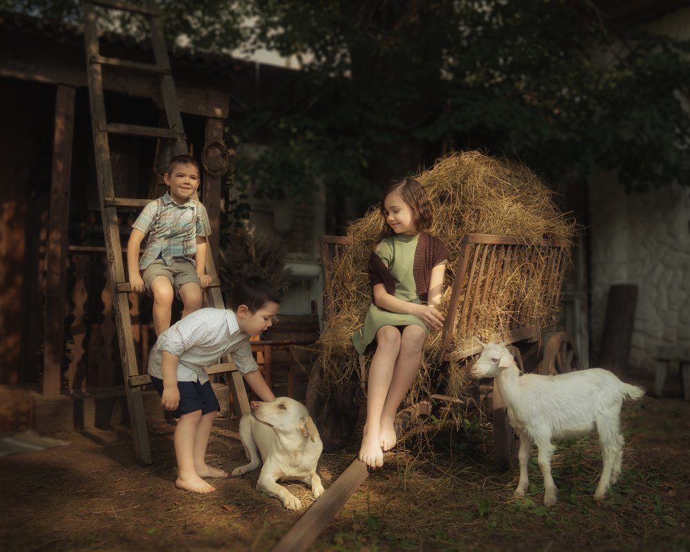 Photograph by Ольга Лобачёва