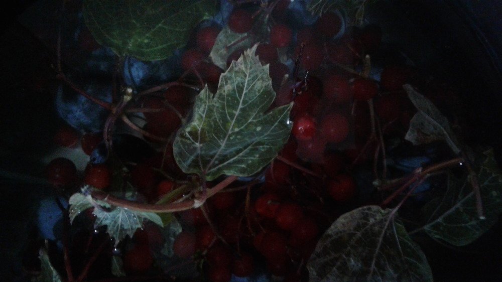 Photograph by Виктория Суркова