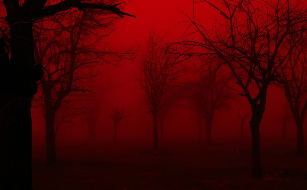 Photograph by Farshad Yazdankhah