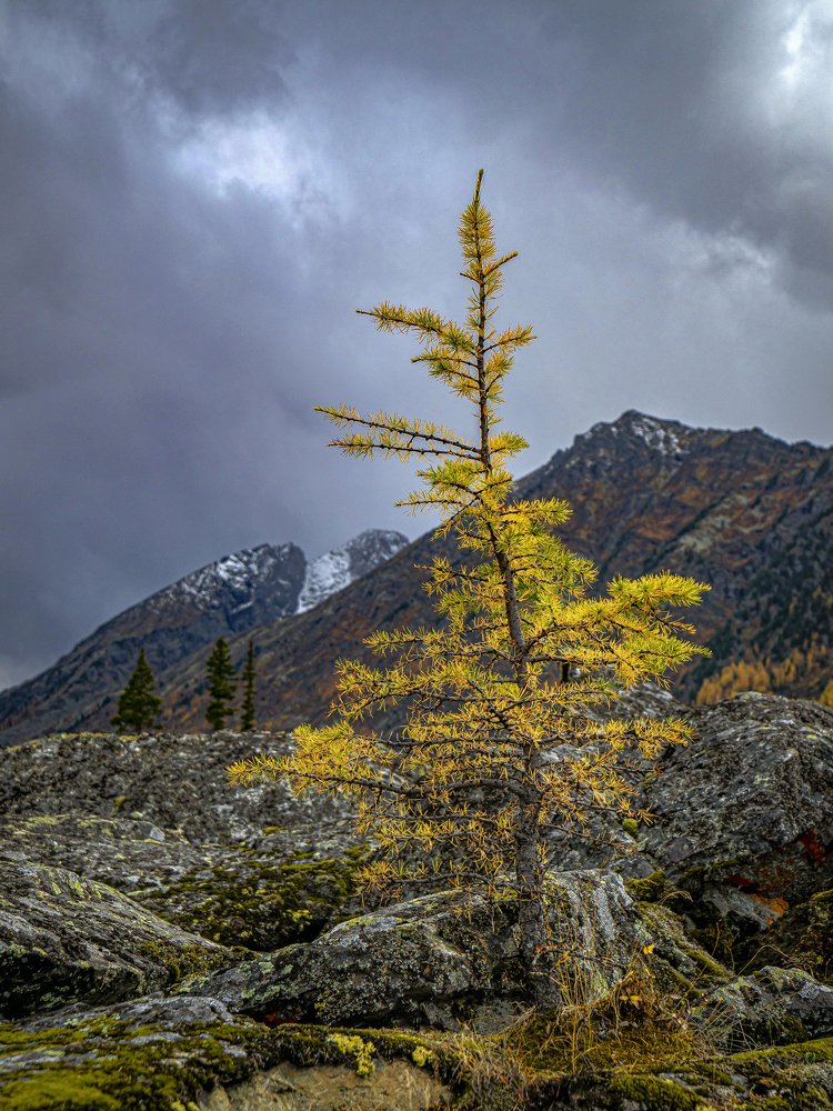 Photograph by Юрий Чернов