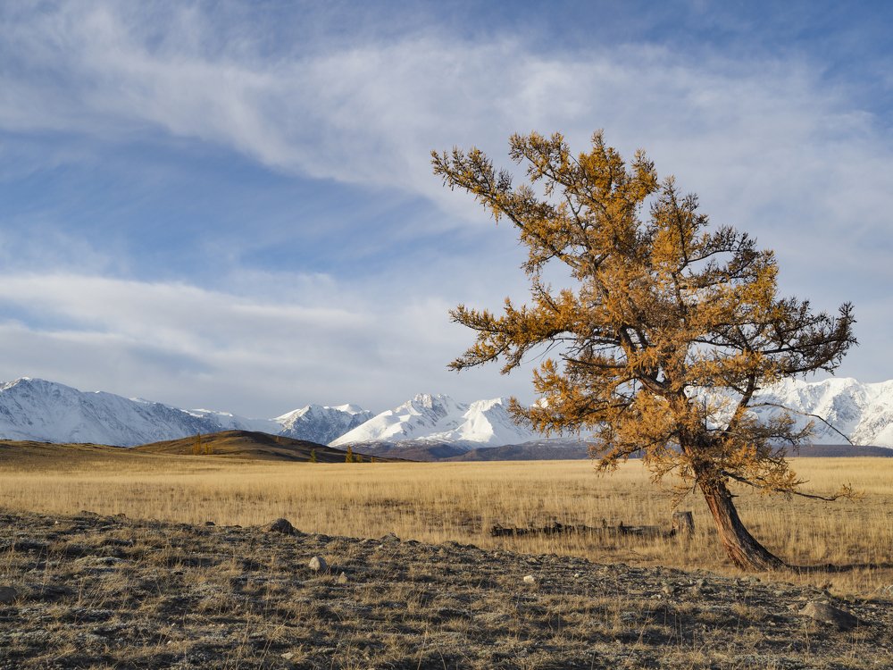 Photograph by Юрий Чернов