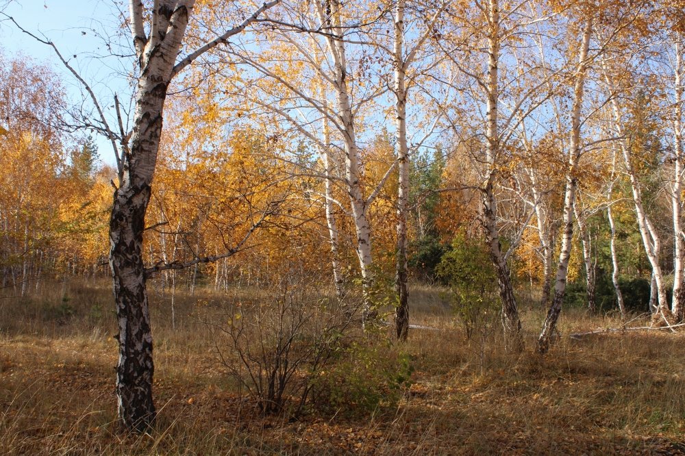 Photograph by Дамир Батряков