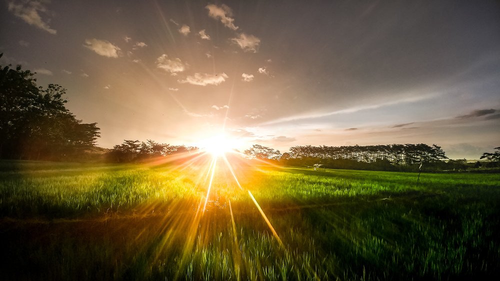 Photograph by Syi'ir Waton