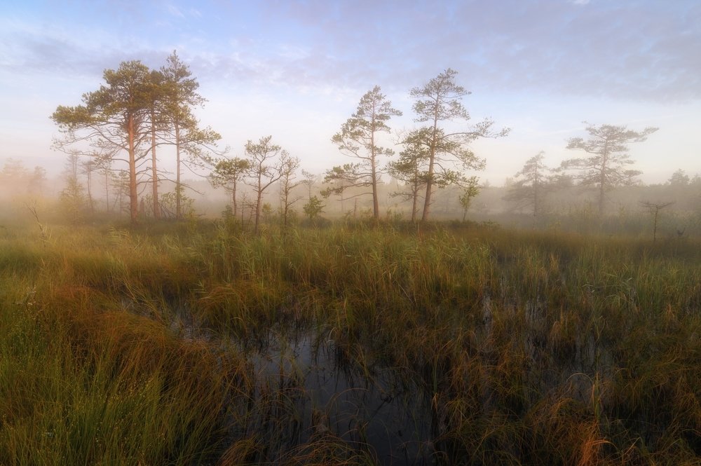 Photograph by Roman Dmitriev