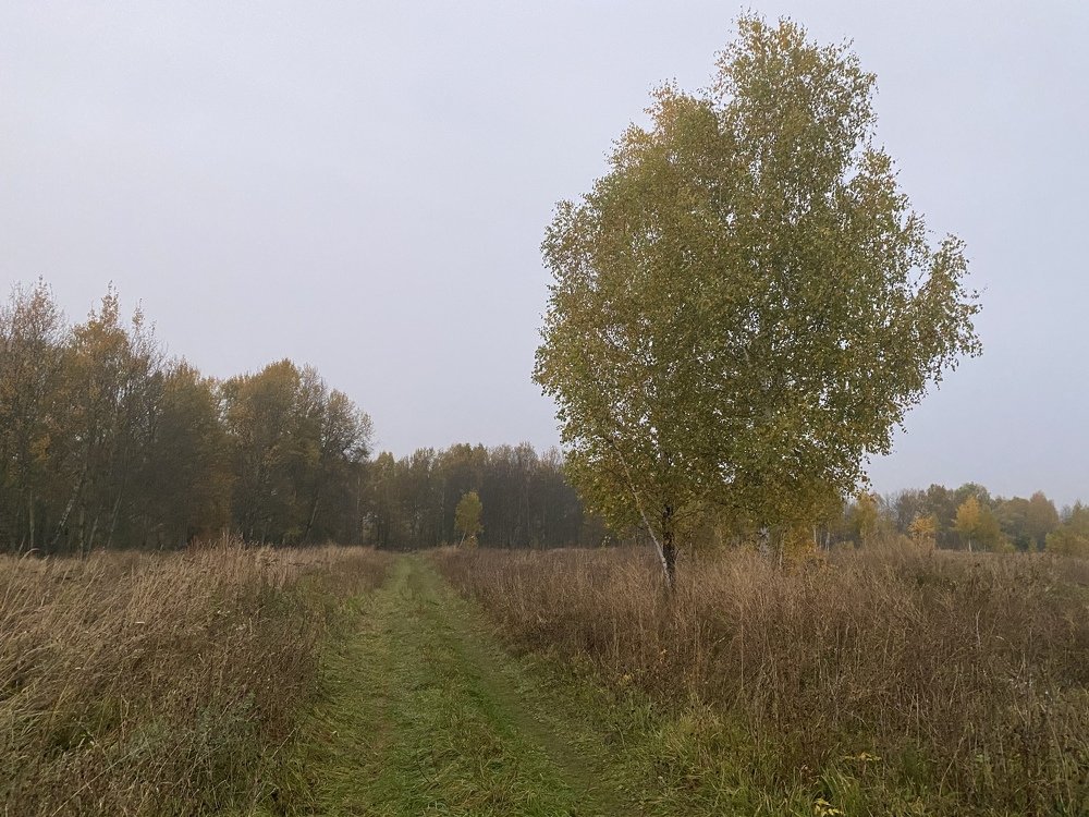 Photograph by Екатерина Рубаненко