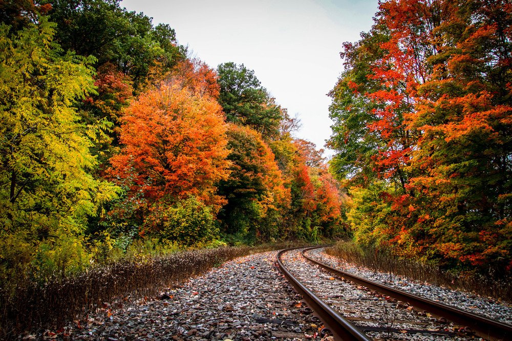 Photograph by Olga Vasina