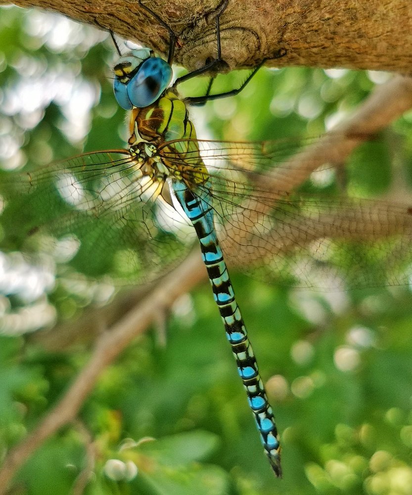 Photograph by Константин Бокарев