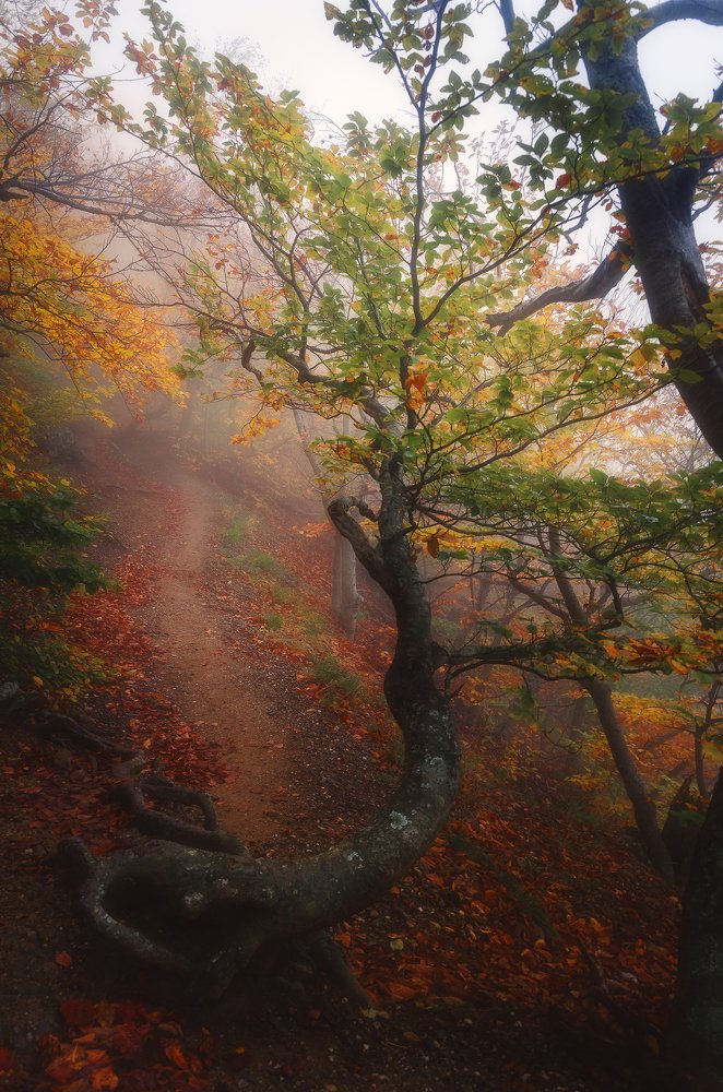 Photograph by Oleg Feofanov